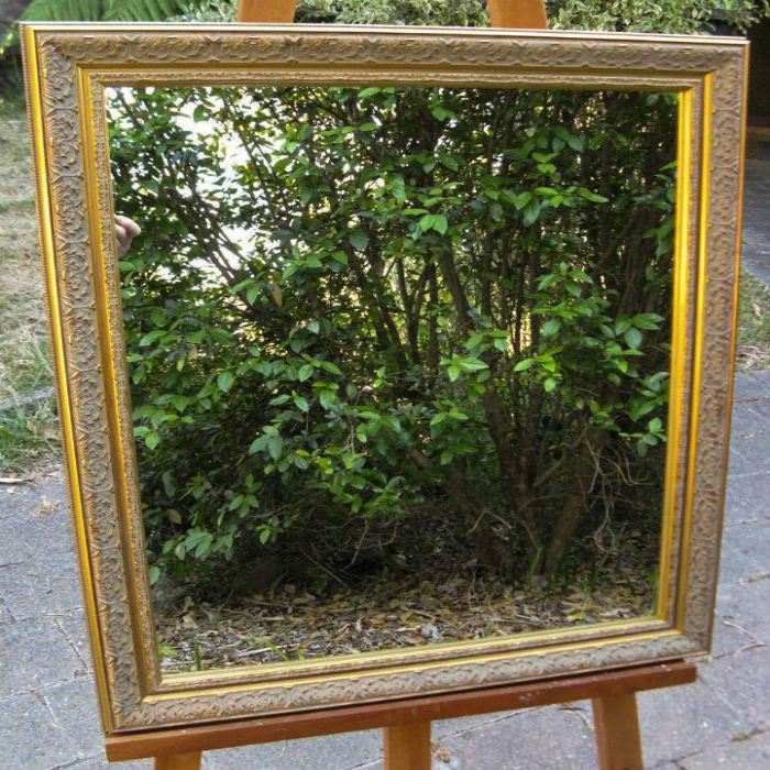 Gold Ornate Framed Mirrors
