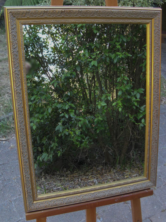 Elegant Ornate Antique Style Gold Timber Framed Wall Mirror